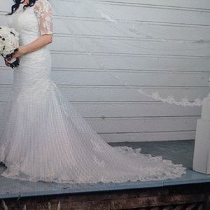 Stella York wedding dress